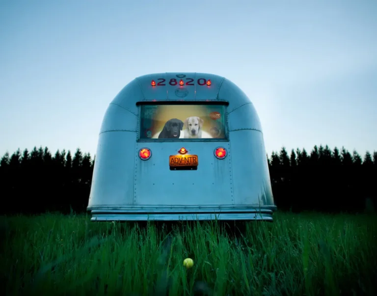 Early Birds by Ron Schmidt