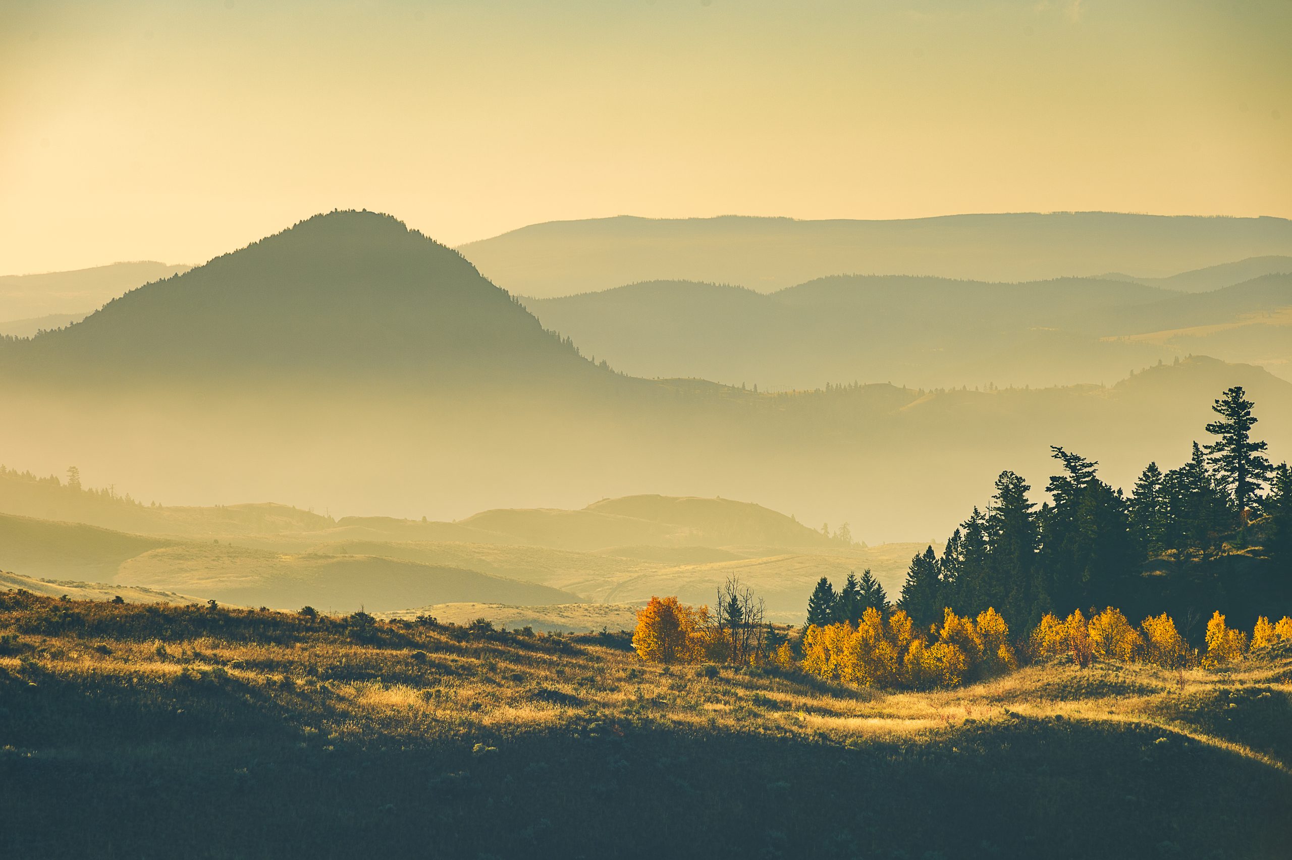 Kamloops, B.C.