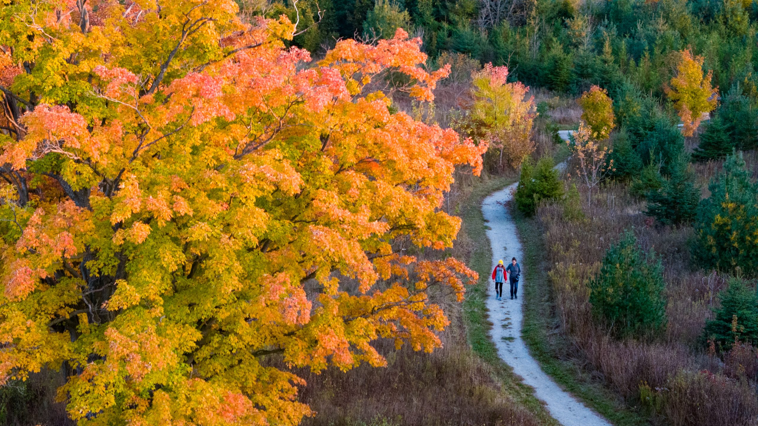 A Fine Fall Getaway