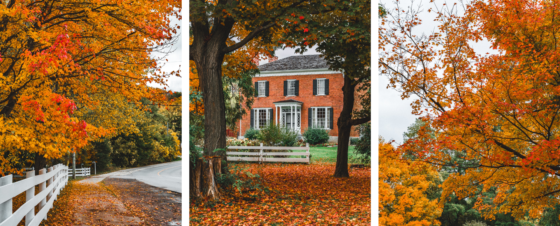 Autumn Adventures in ‘The County’