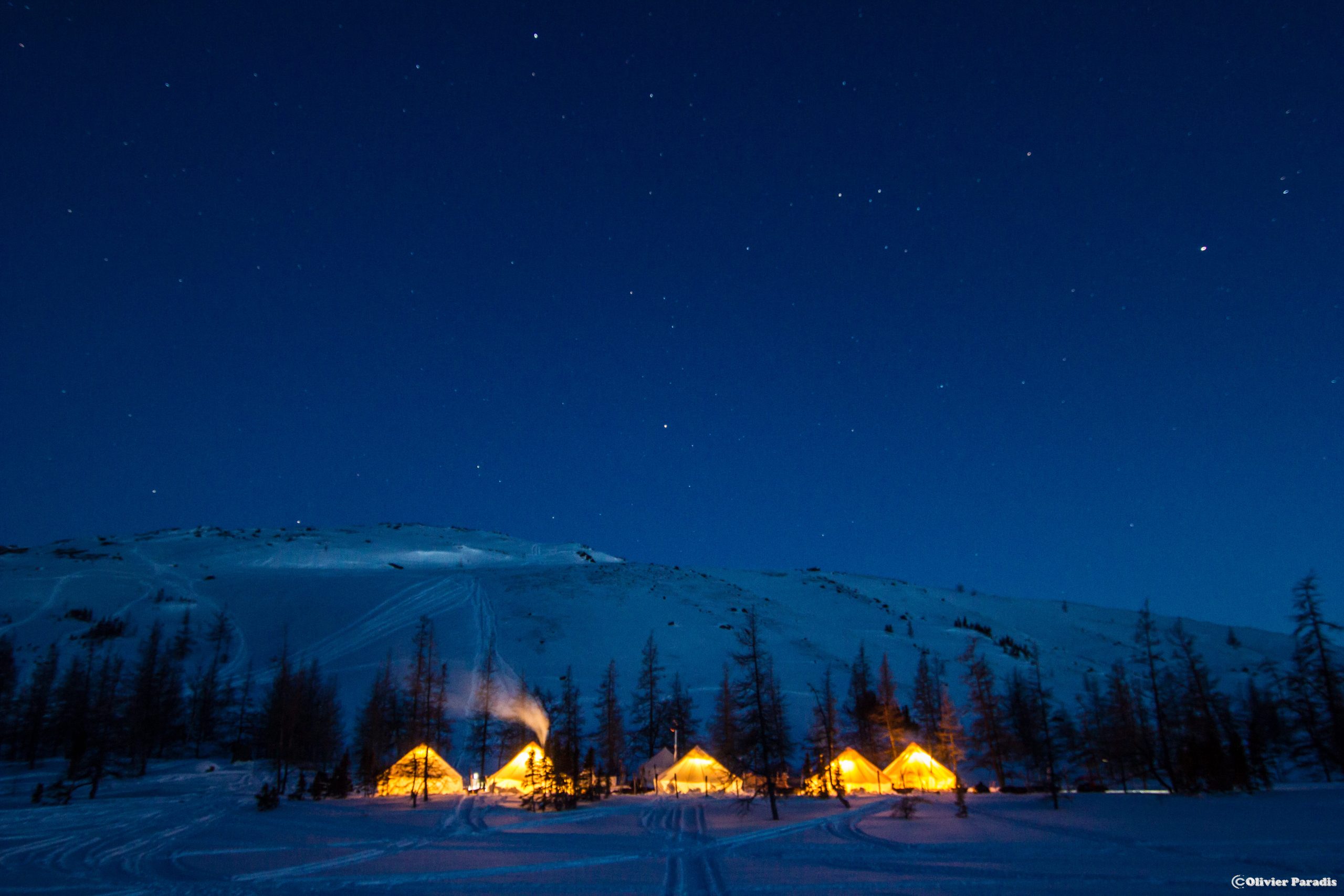True Arctic Splendour! 